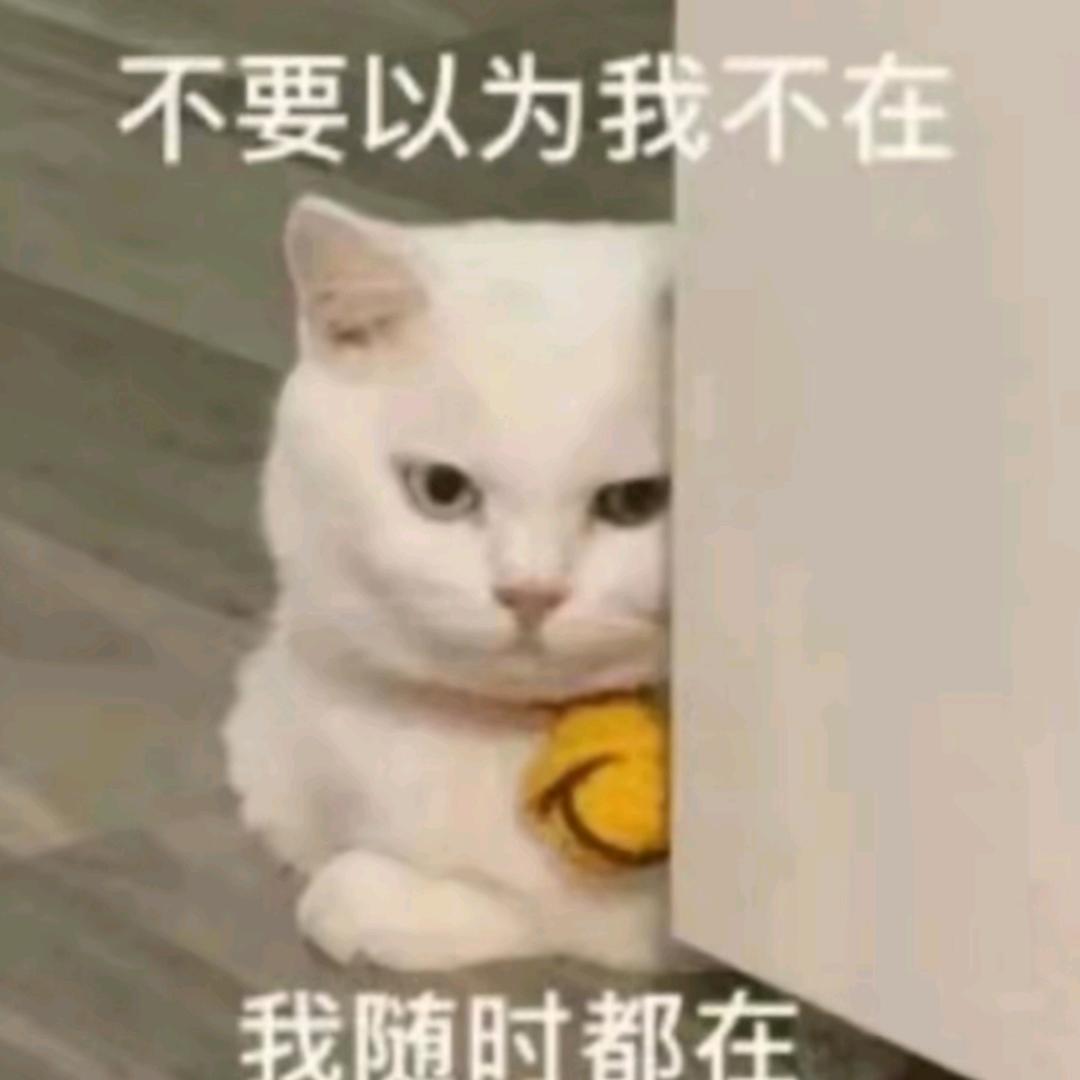无边桃炎