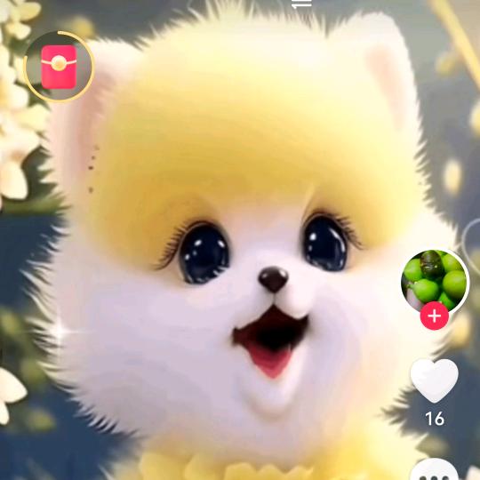 一切随缘吧
