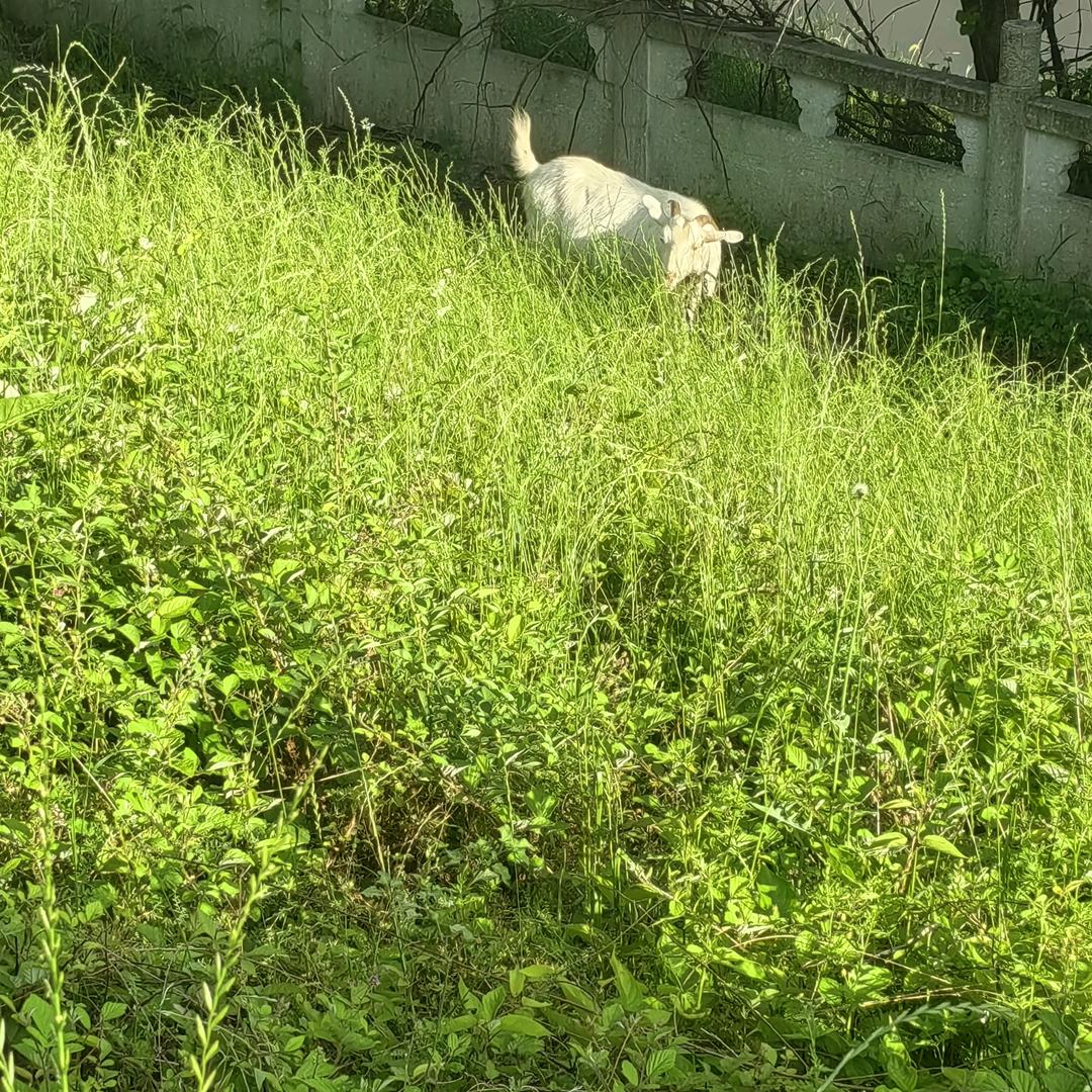 踏踏实实做事