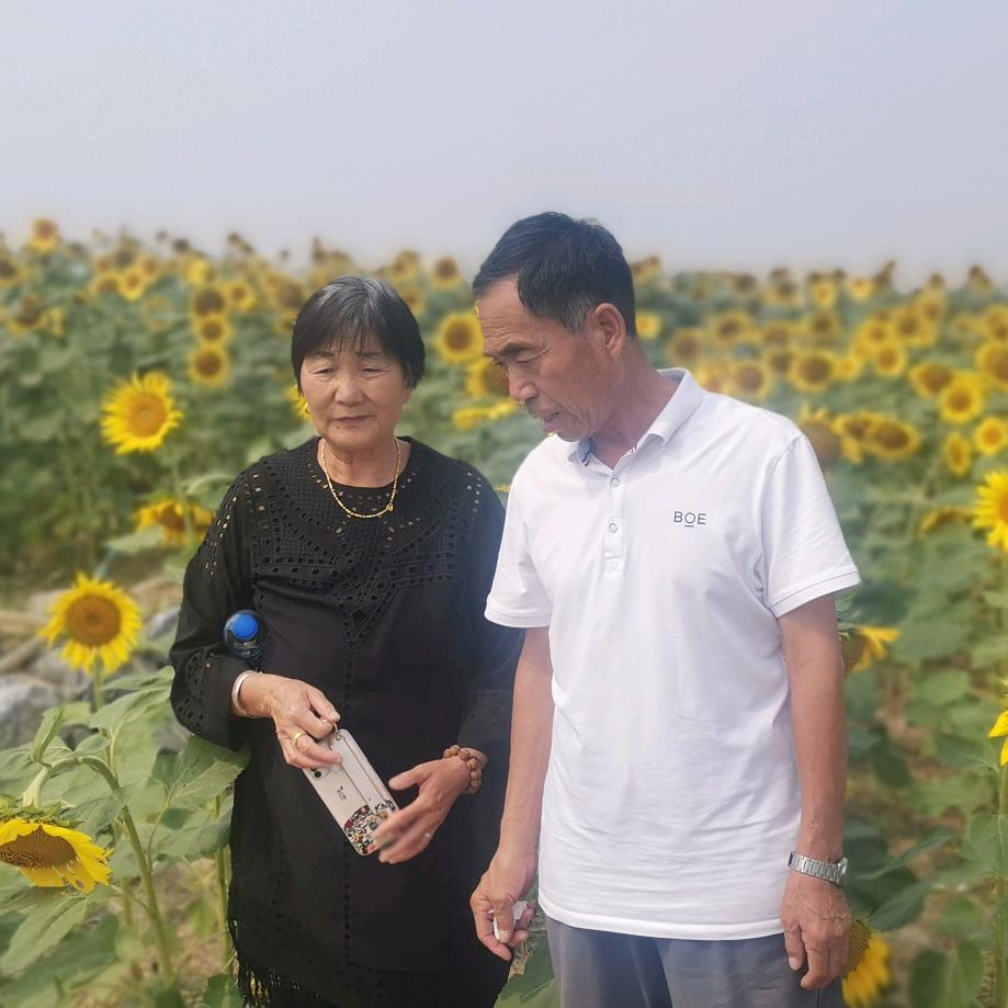 开心的李姐