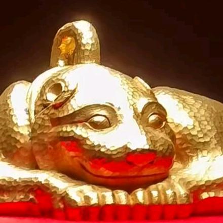 不钓鱼