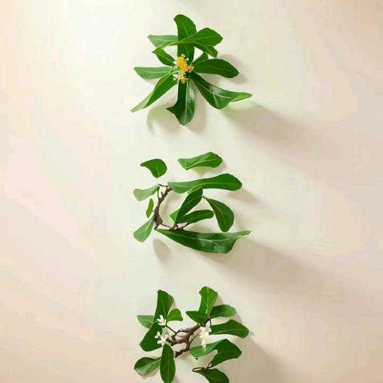 @一路阳光