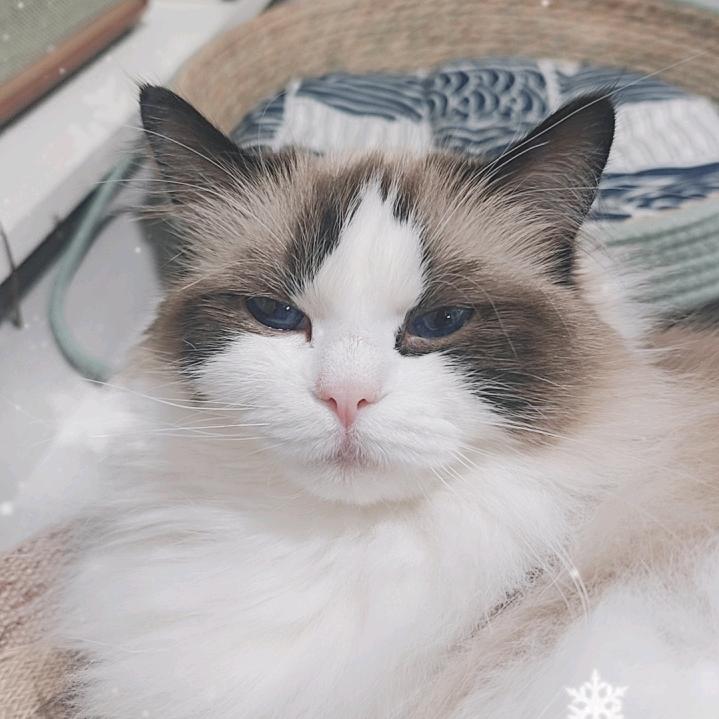媛塑