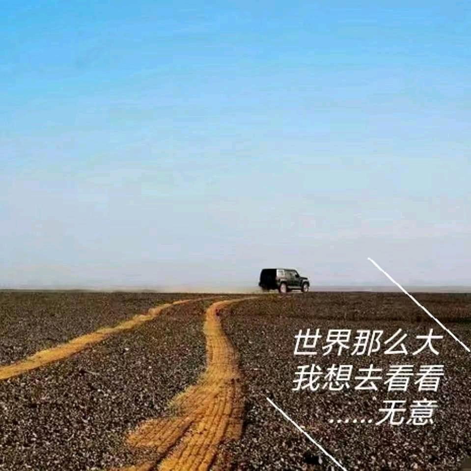无意1188