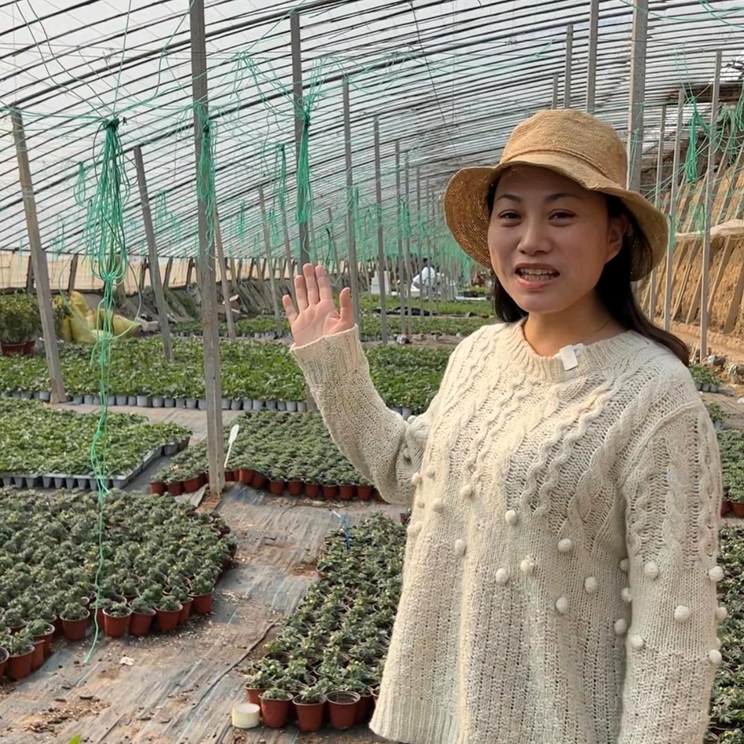 春芳园艺
