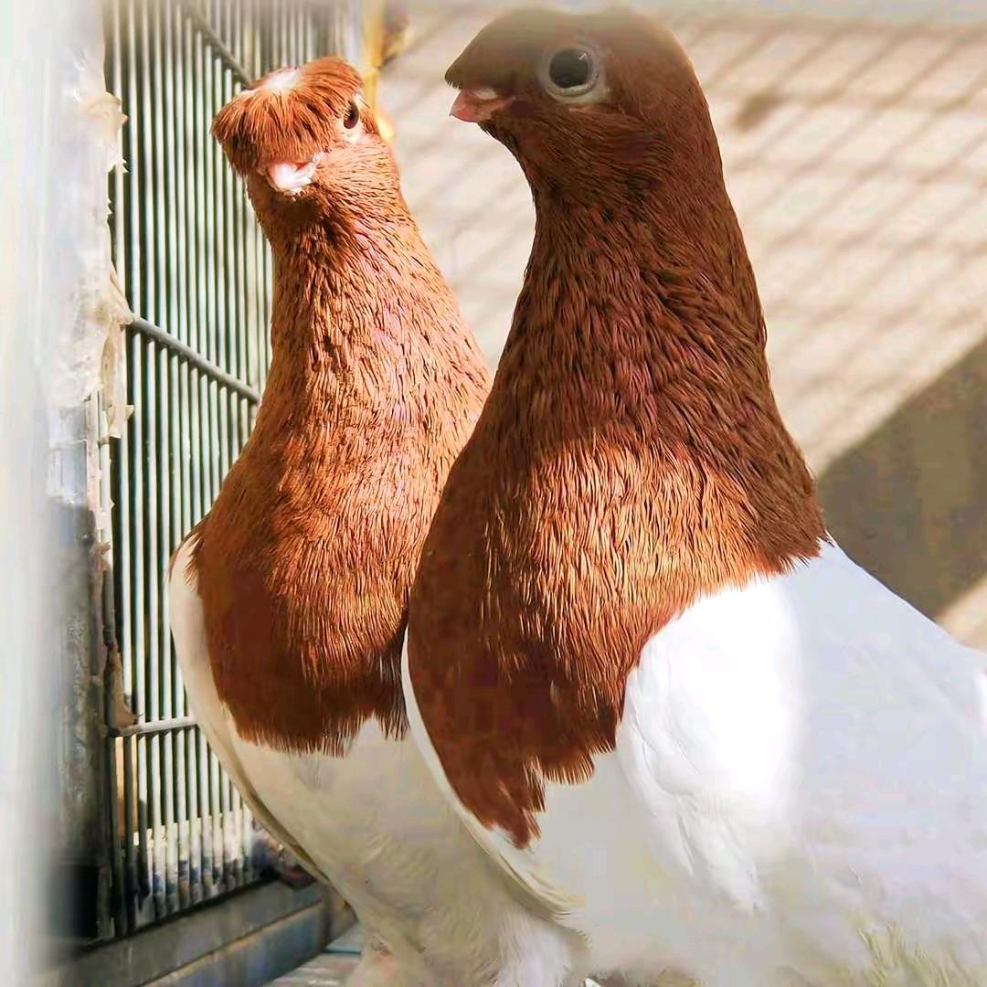 阿地里江-@现代@