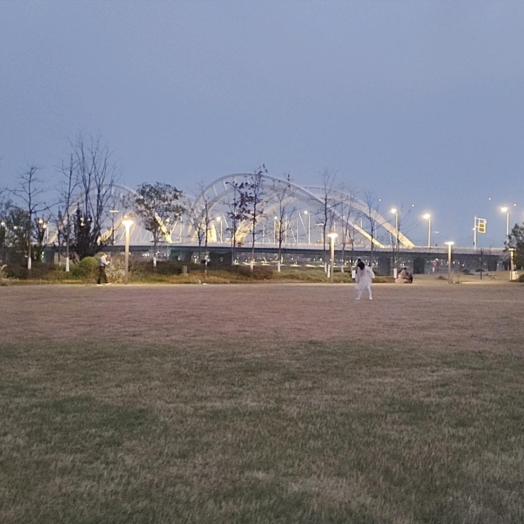 领悟❤️