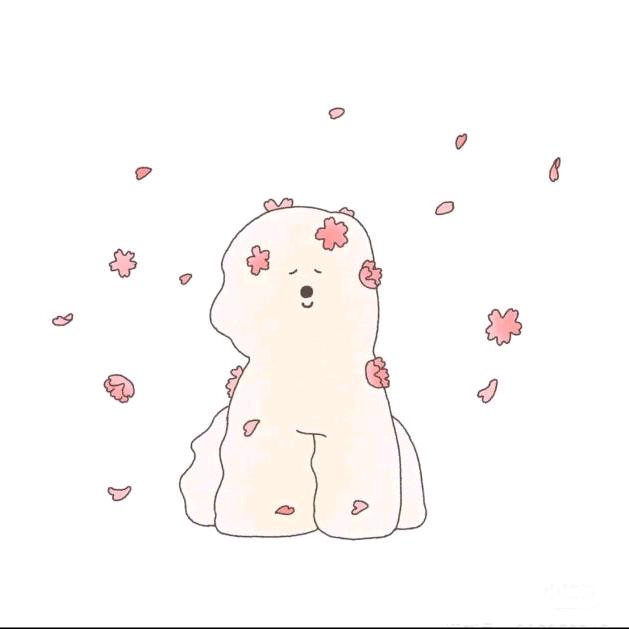 🌹✨Cc✨🌹