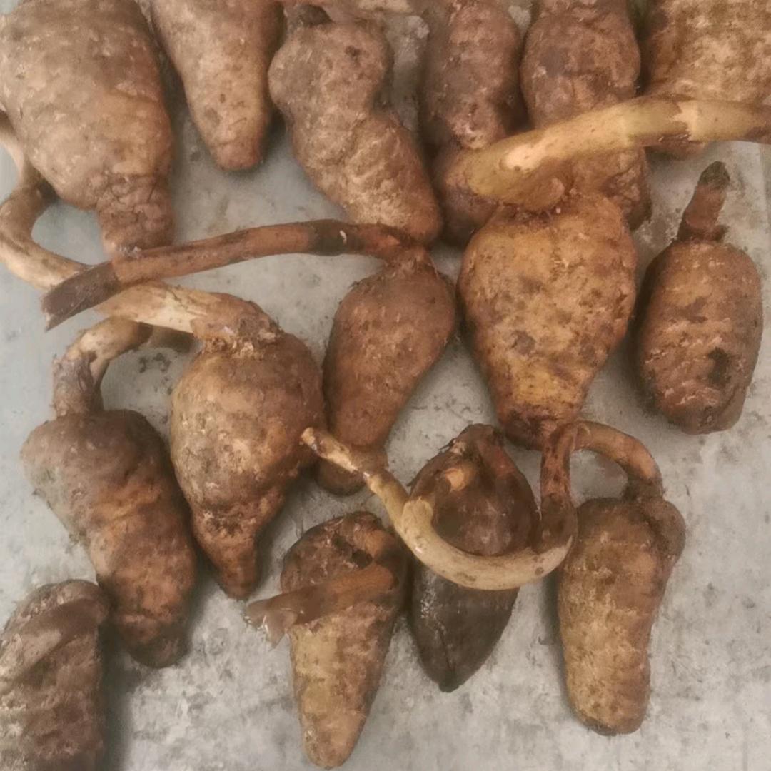 开开心心过一生。单身汉一个。