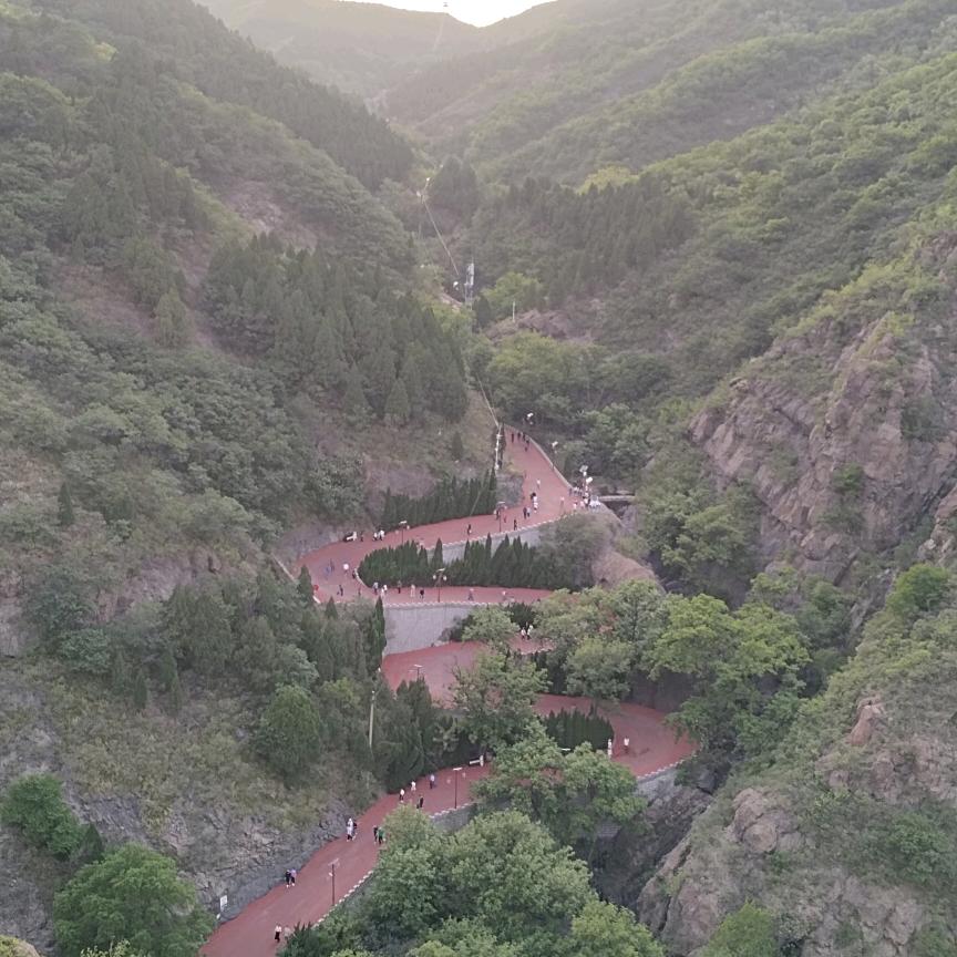 邹平小赵