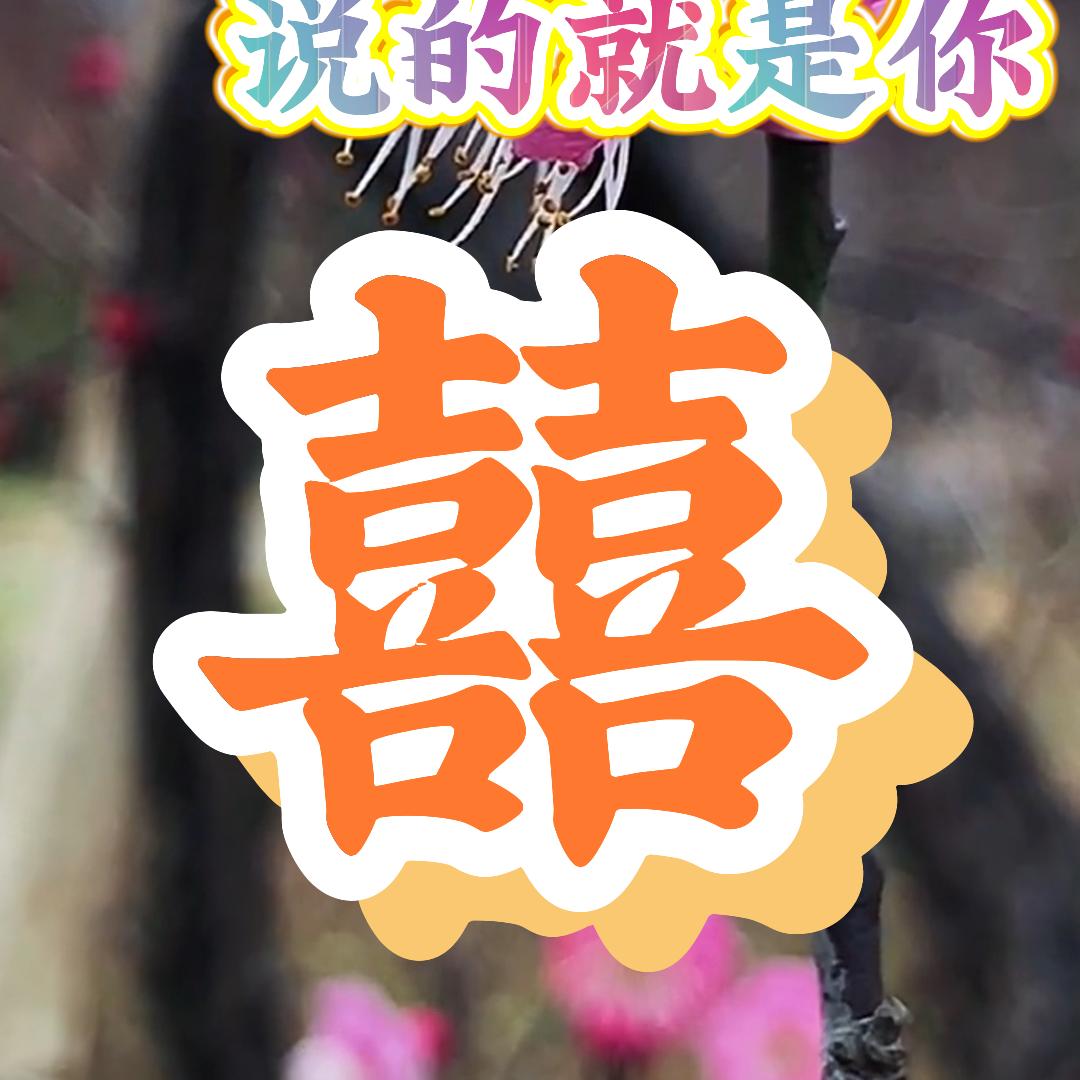 贸丰好物