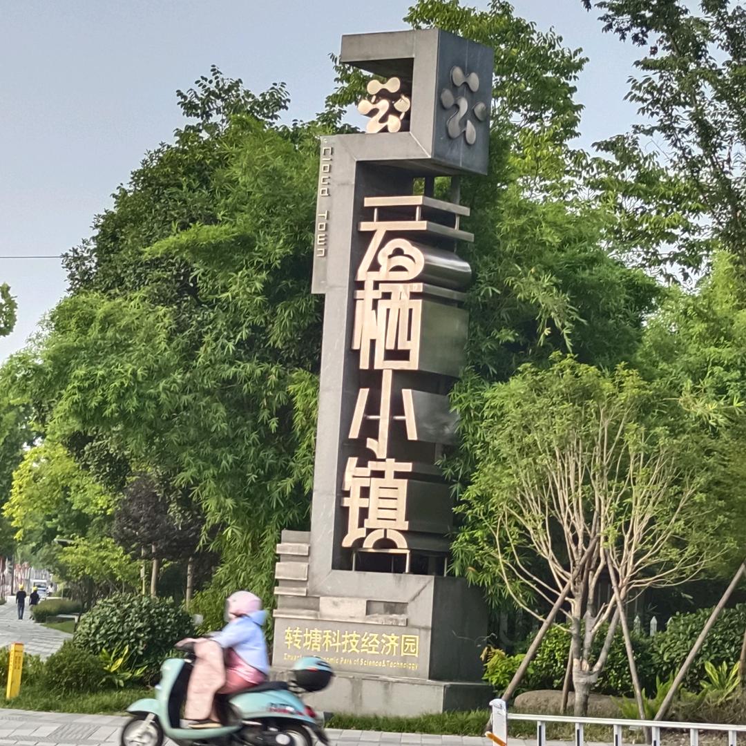 小琴