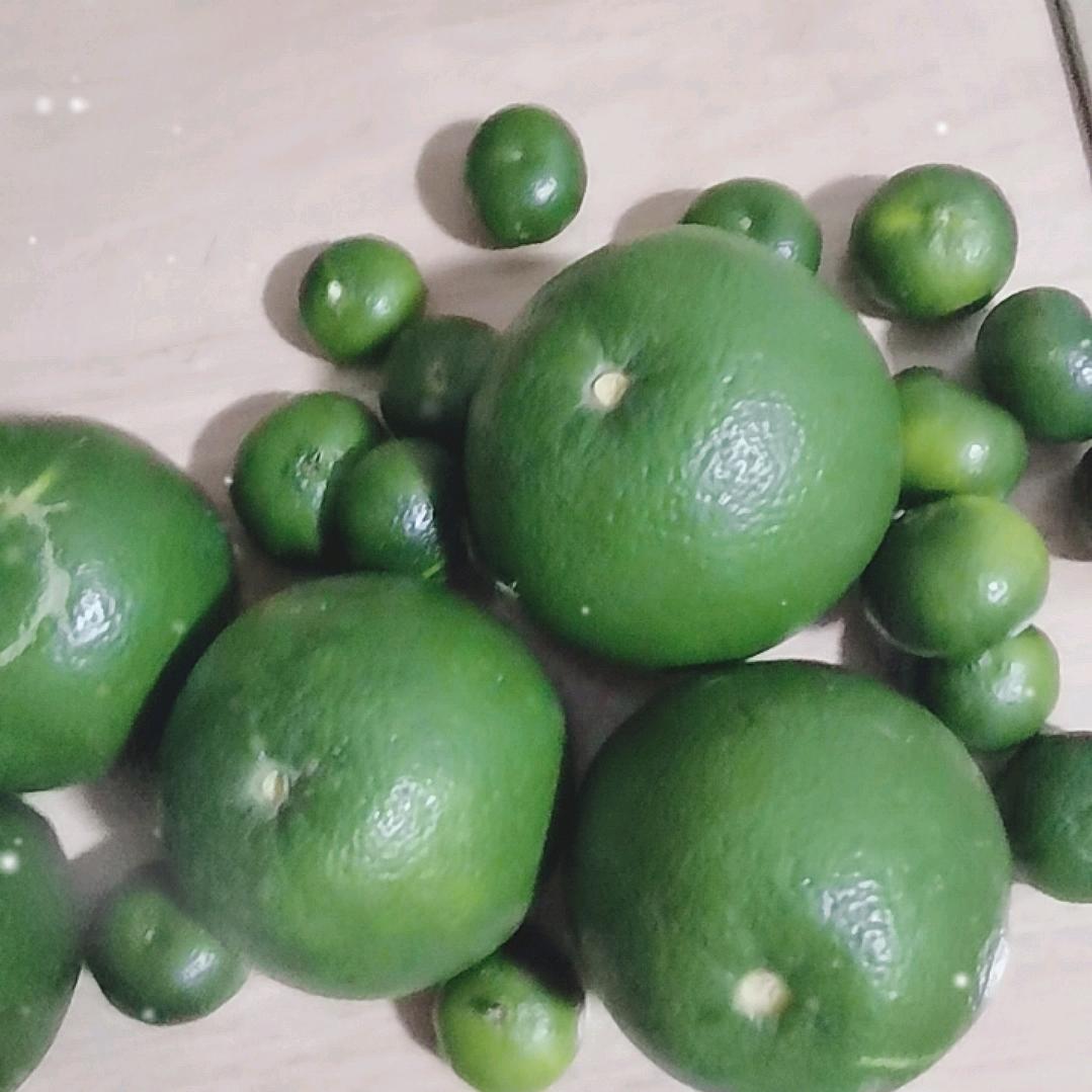 橘子兄弟2