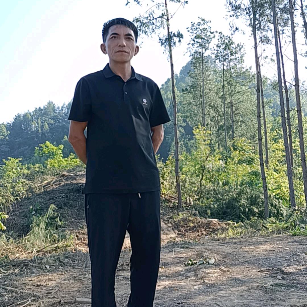 自由自在