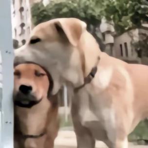 嗯……