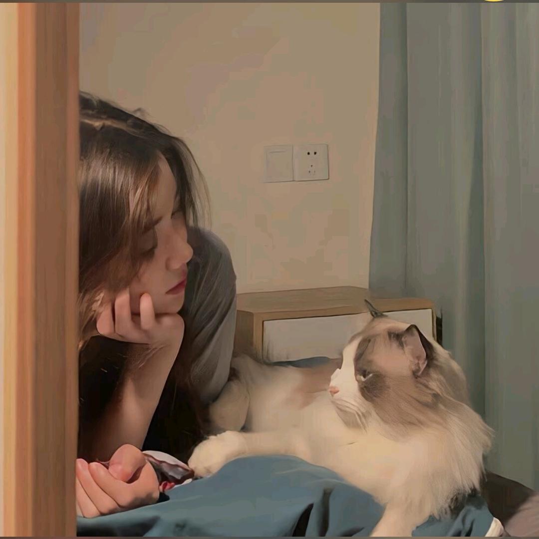 ③号小姐姐💕