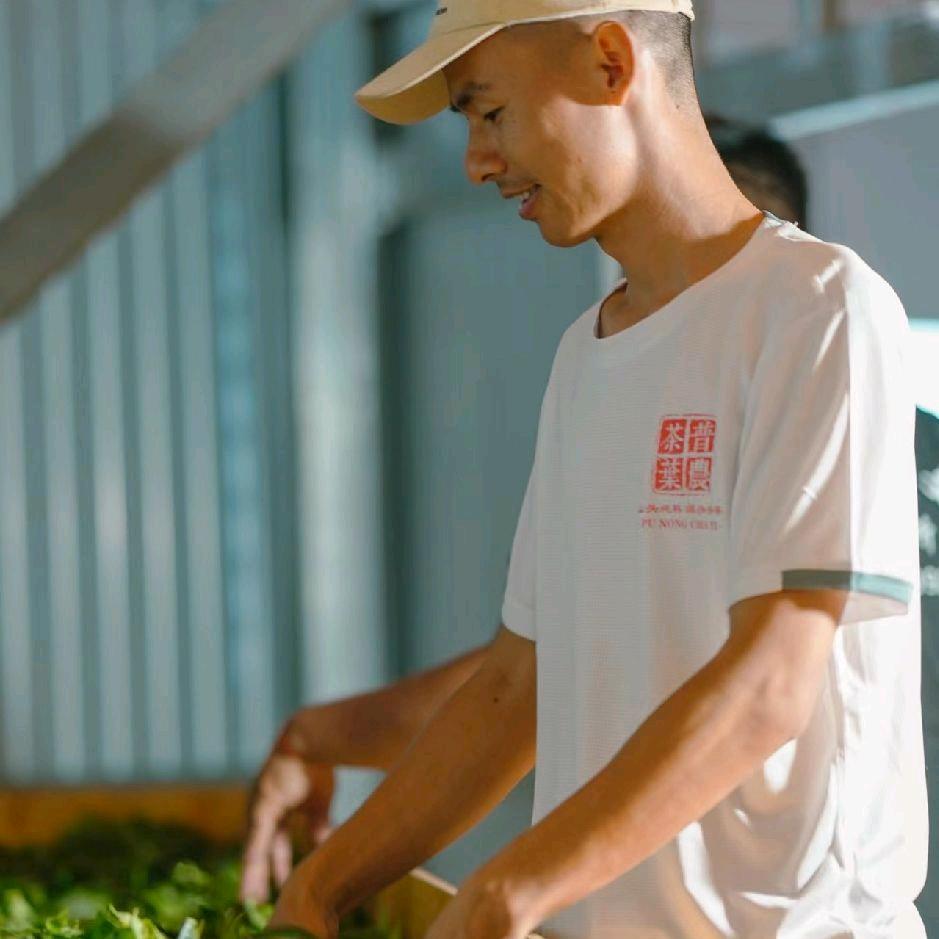 临沧普农茶叶（啊文）
