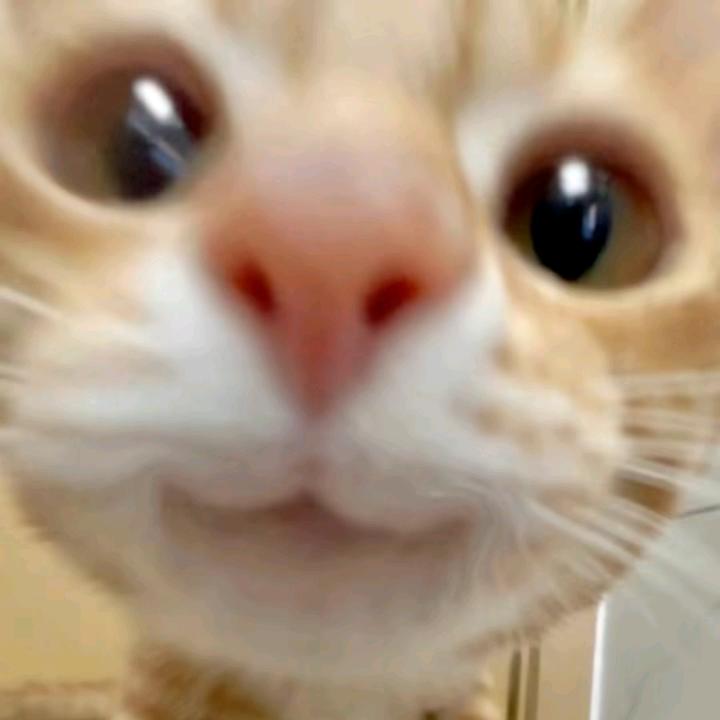 鱼香肉丝~