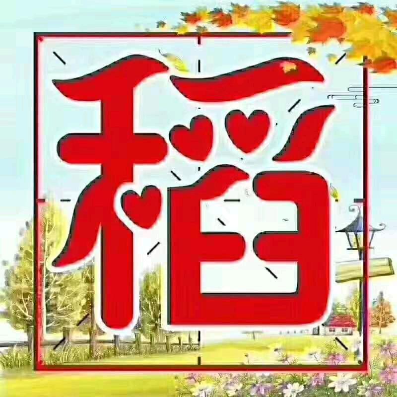 五常人