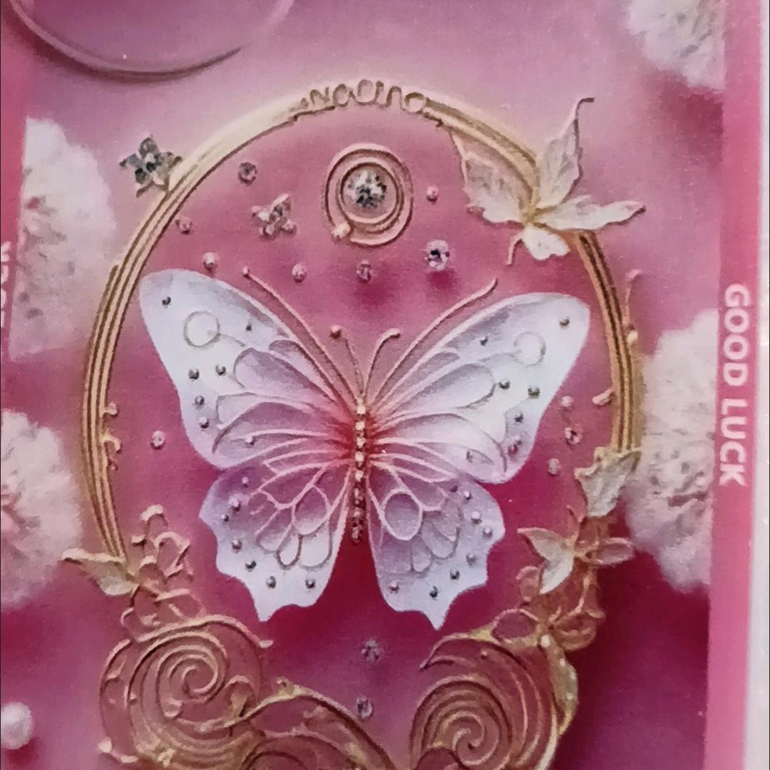 🦋蝴蝶