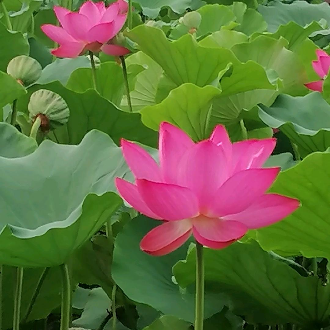 问心