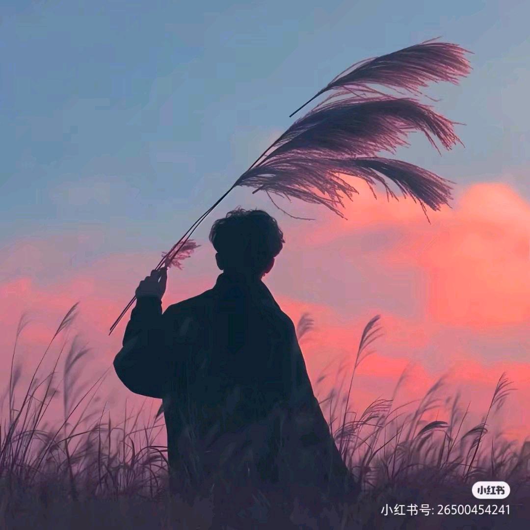 张纪中