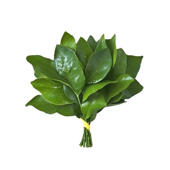 CforikeB9