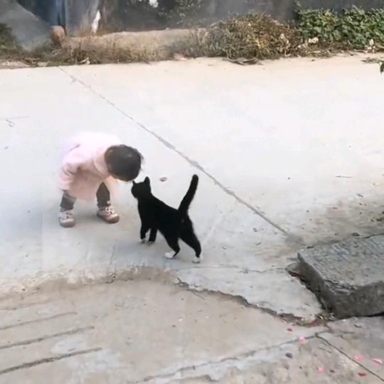 一把干谷草