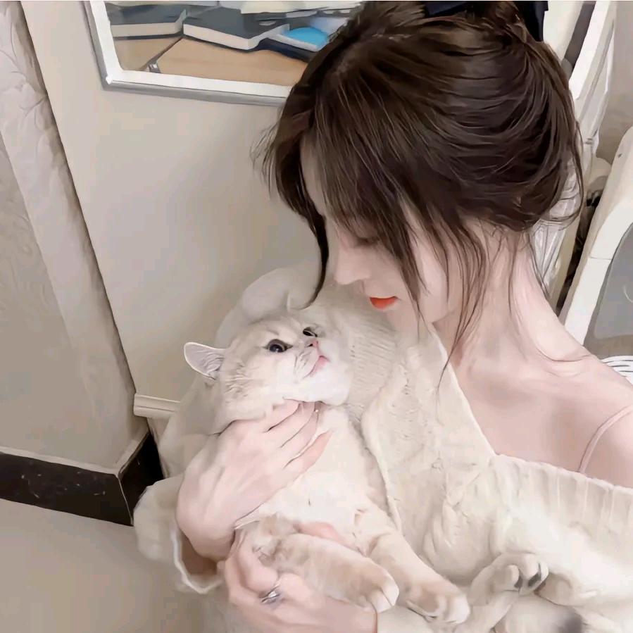 晓燕录