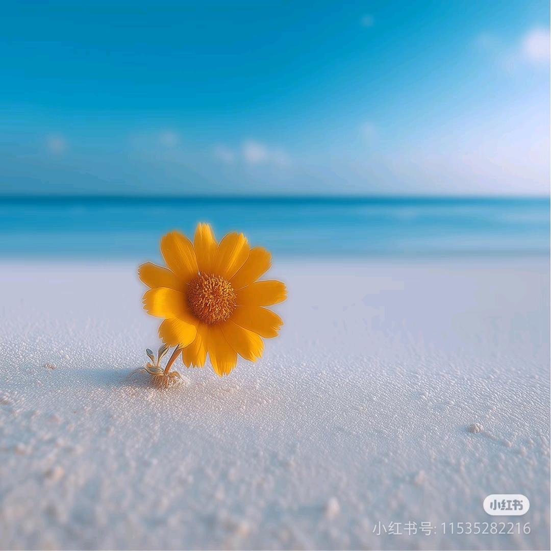 ʚ༄万事Ö耶ɞ