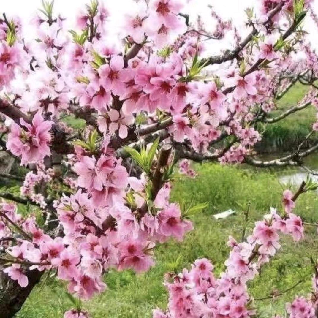 绝处逢生