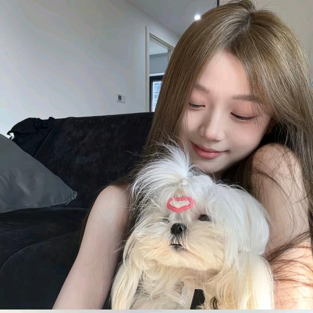 小兔八嘎酱