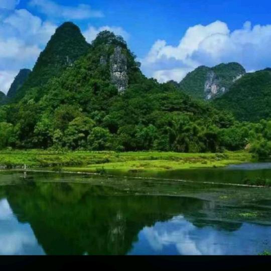 河南7543稳如泰山