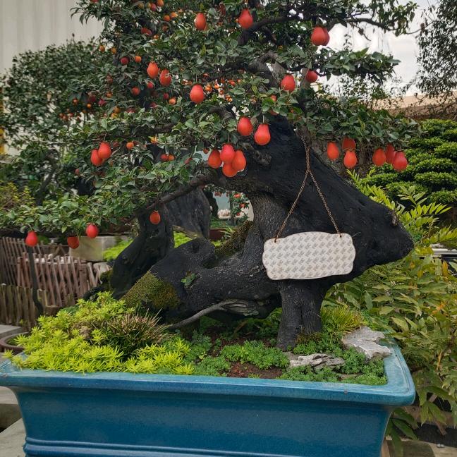 花卉园艺