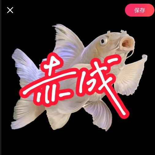 赤成老岳