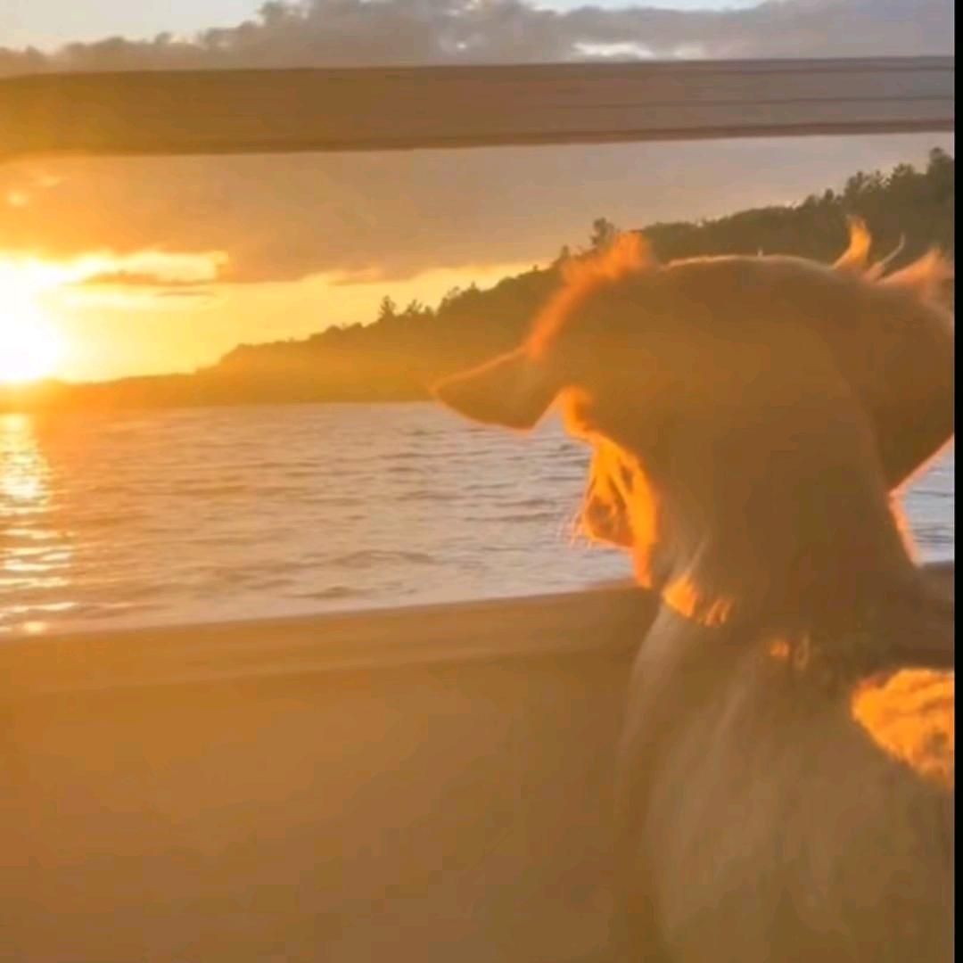 夕紊