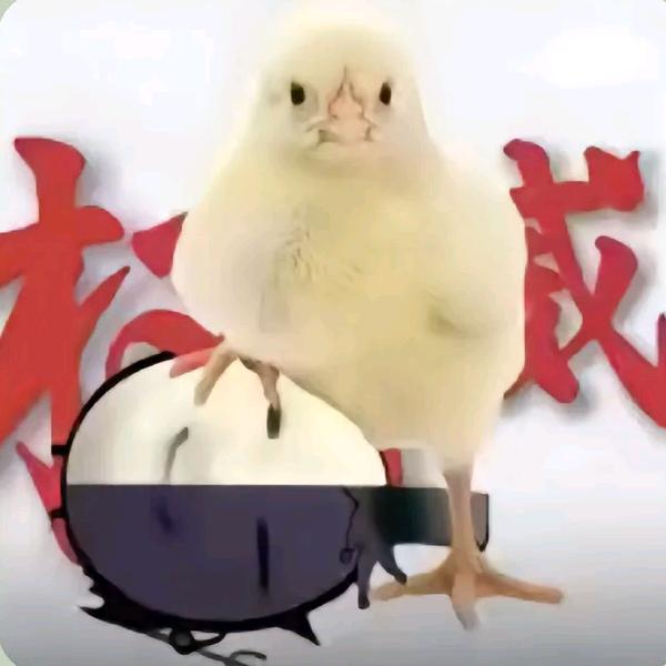 乞鹅失去梦想了（不想实习版）