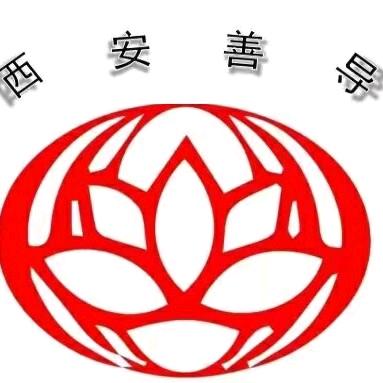 善导众鑫（童健）