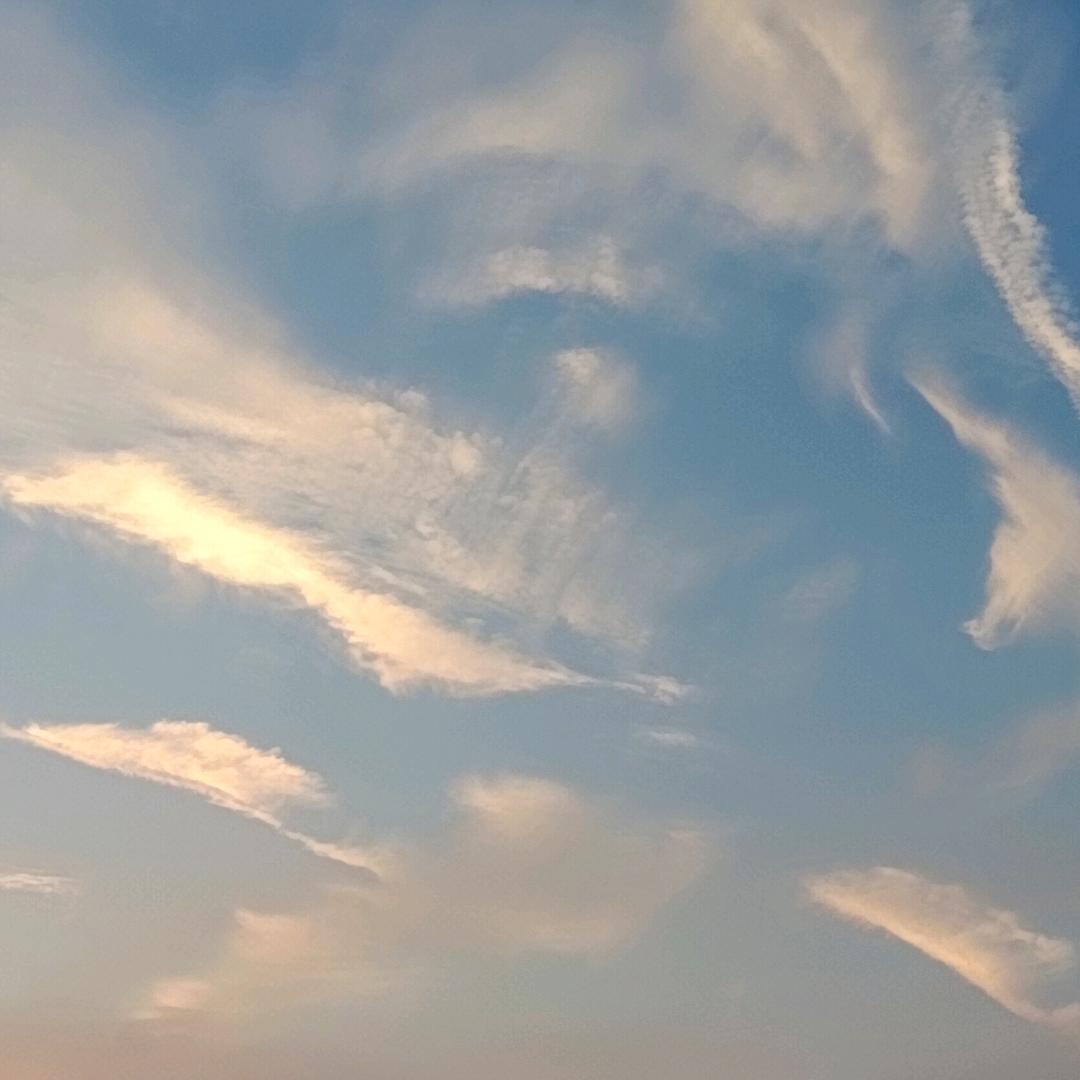 我是软包