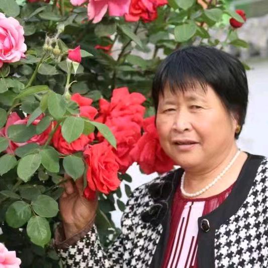开心姐