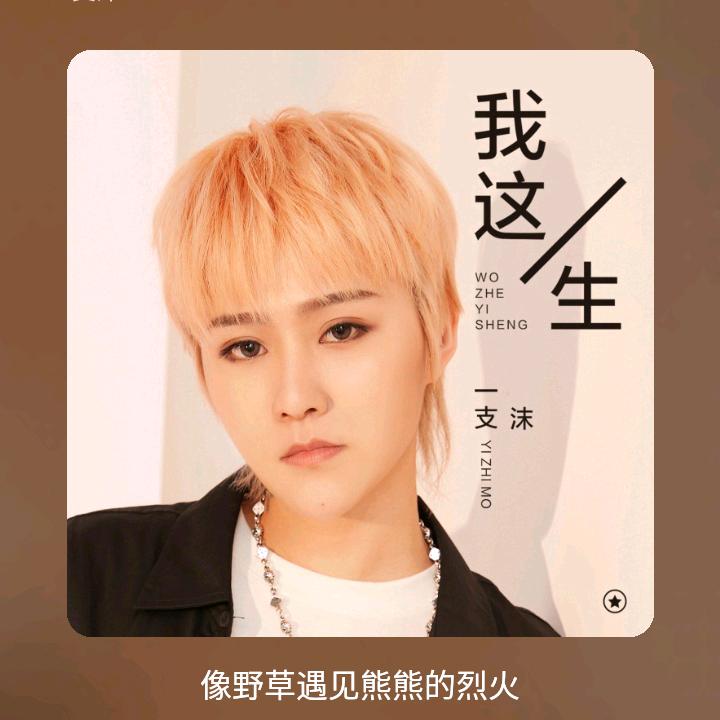 玫瑰花