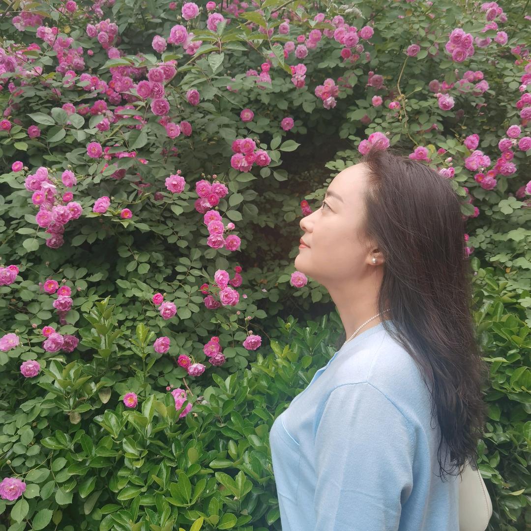 黛西