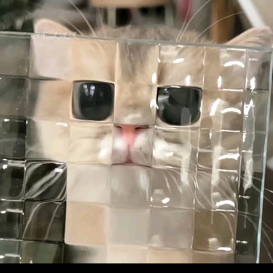 红椒鱼