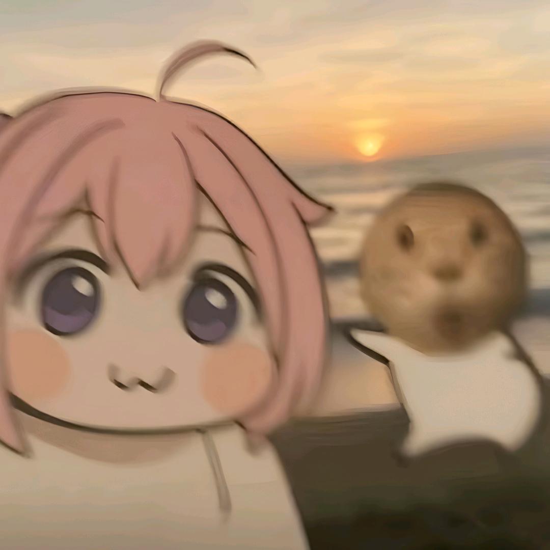 司哲钺