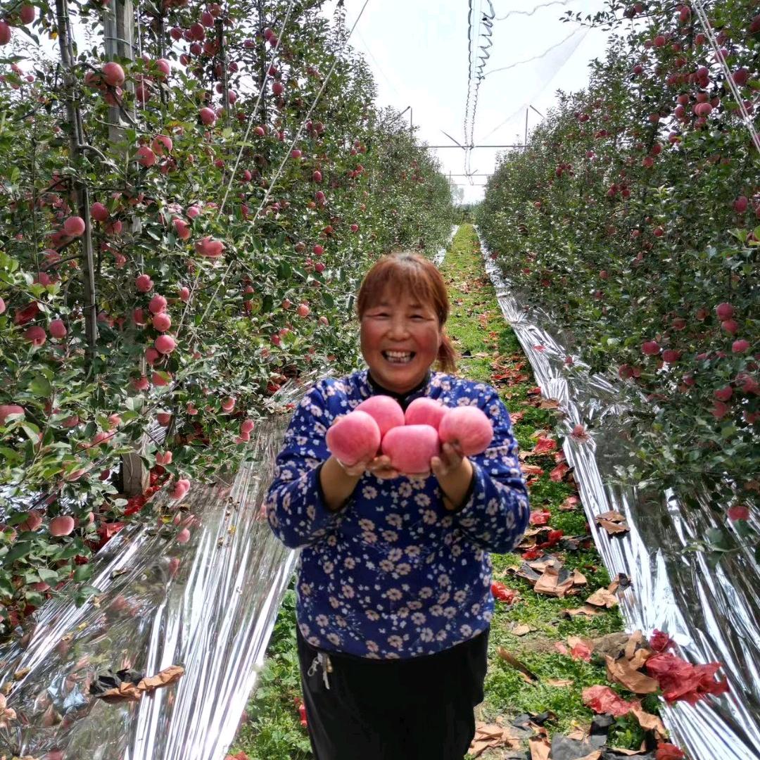 小郑家苹果【福布拉斯种植】拒绝连赞