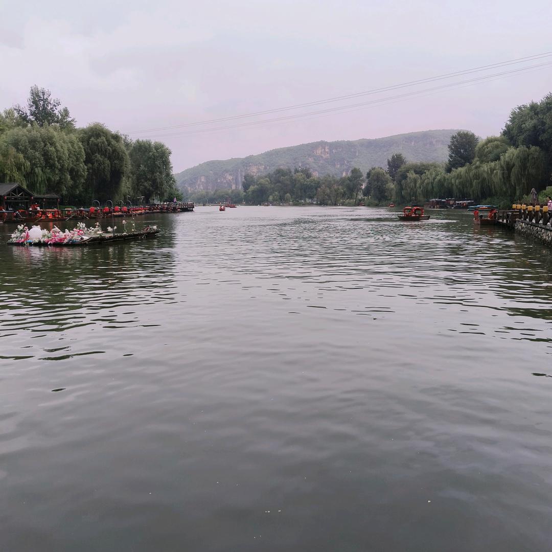 lumeng5050
