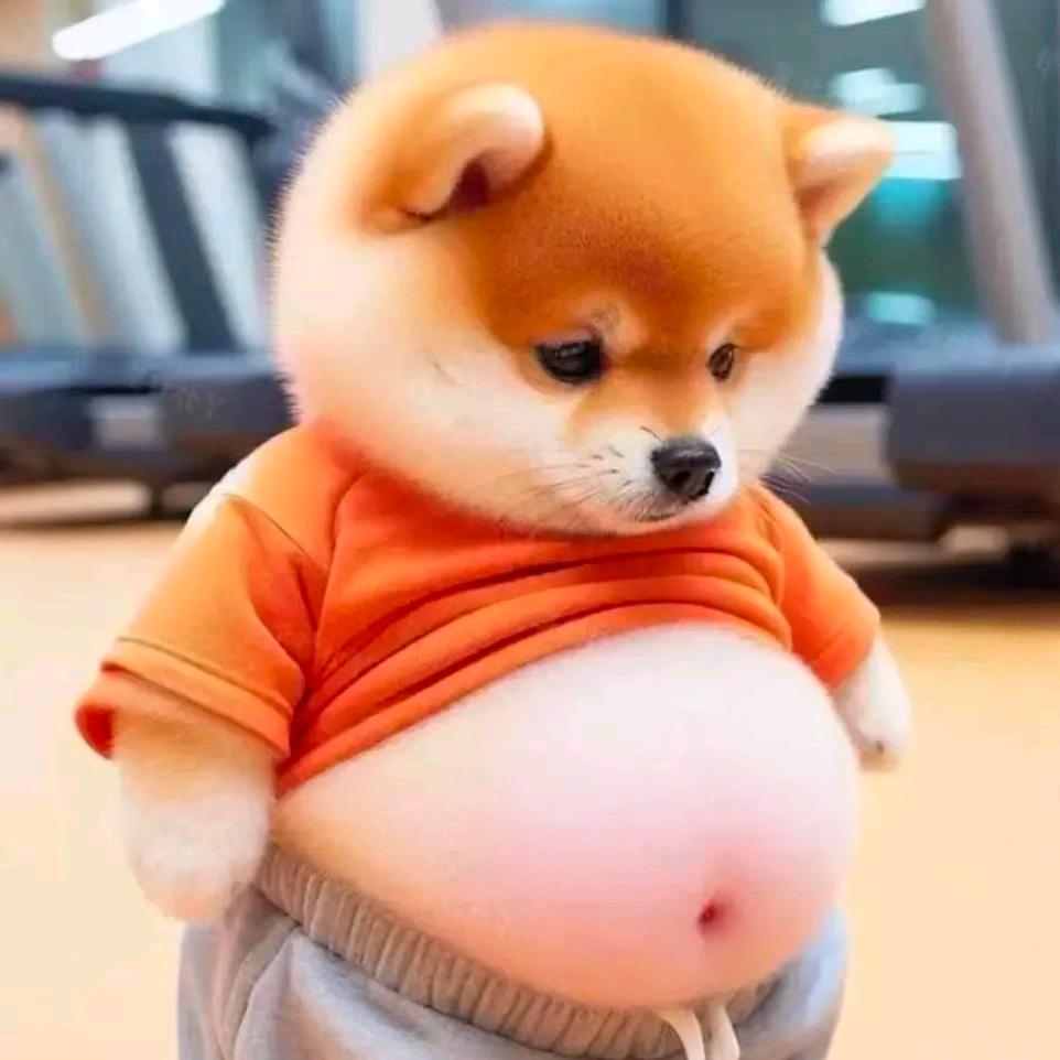 獅毛