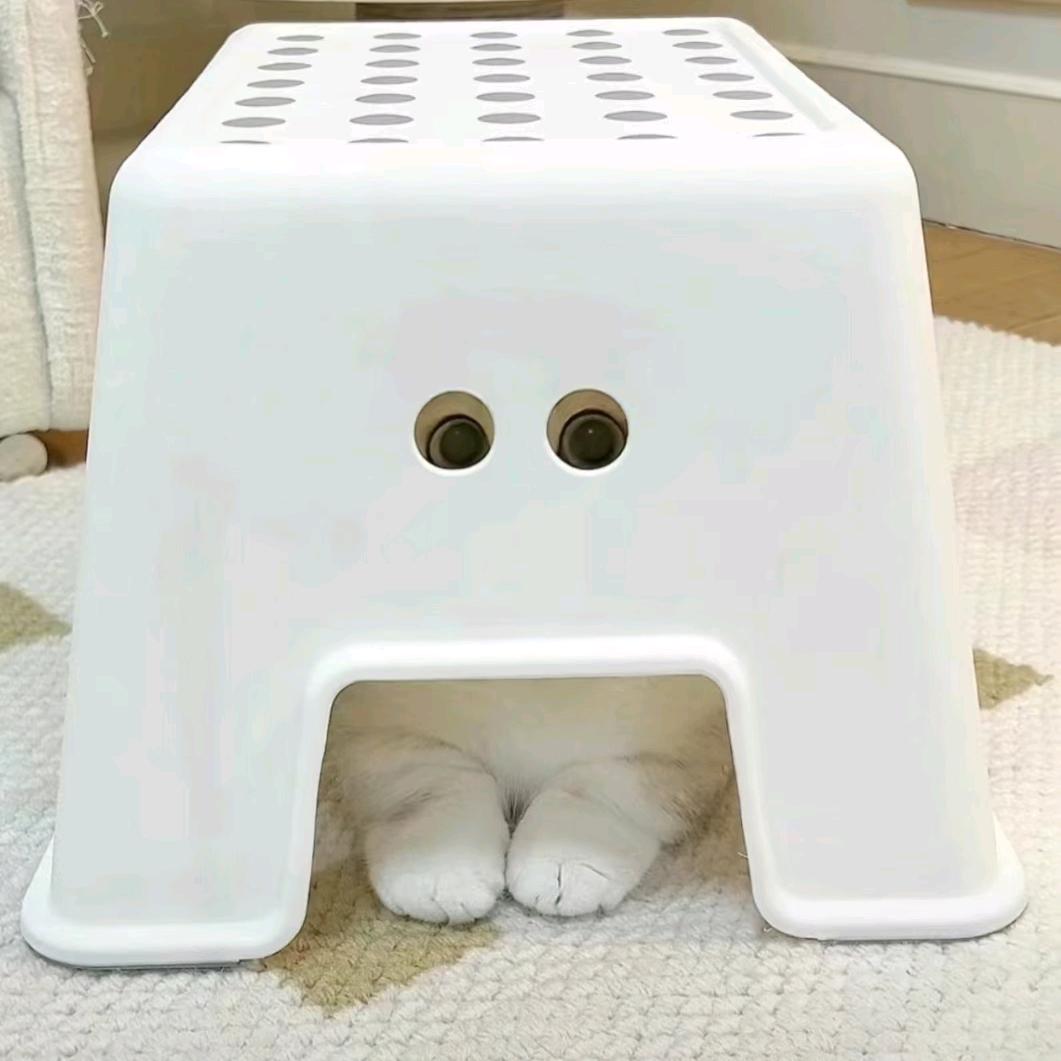 一个路人