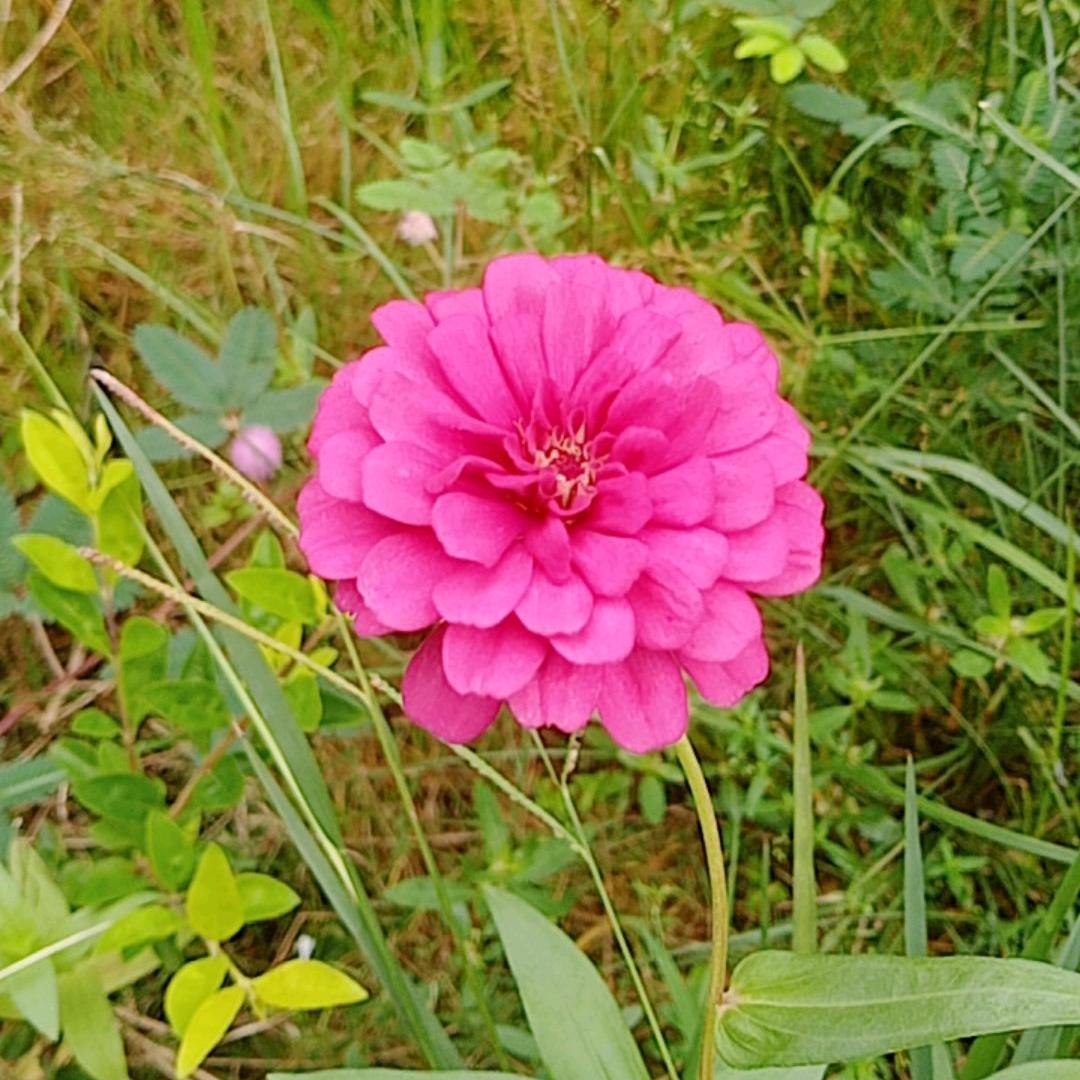(*๓🌸´婷🌺💐美🌹`）