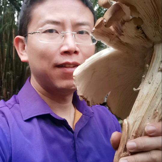 驯化白蚁的孙老师
